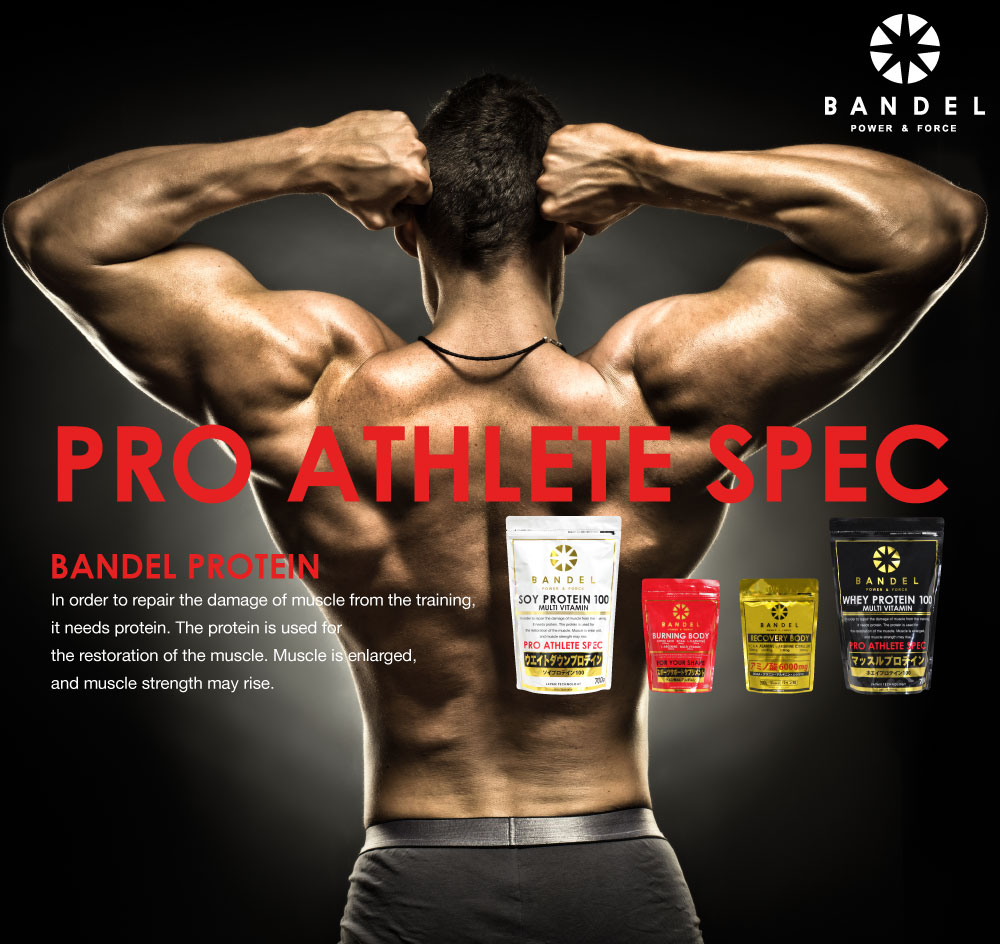 BANDEL PROTEIN | BANDELスペシャルサイト